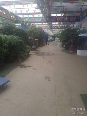 花市場
