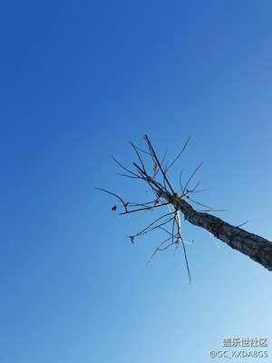不經意的發(fā)現(xiàn)