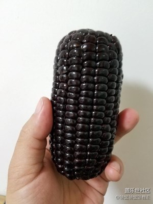 色正……