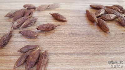 不能吃的棗核