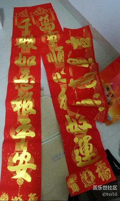 歲拍