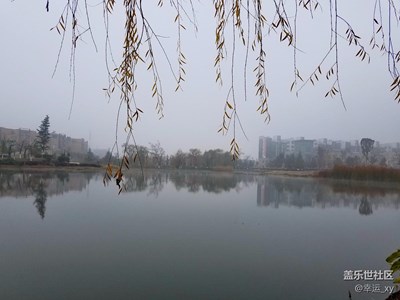 云里霧里