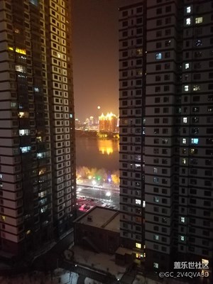 夜