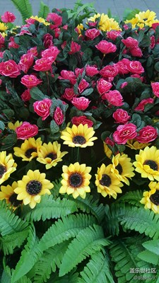 假花兒
