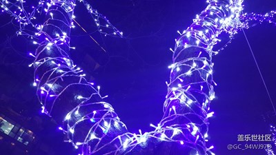 燈紅酒綠，不夜城