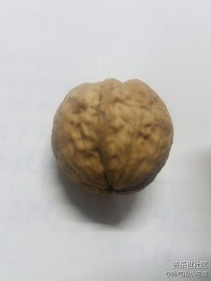 真像大腦