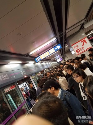 雙十一擠三號線逛了西安世園會