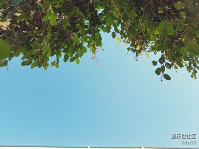 隨拍-天氣