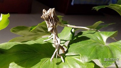 大家一起分享