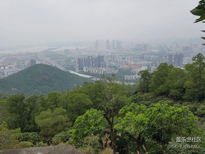 旅游
