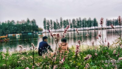 回憶這景