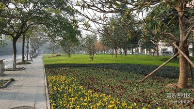 路邊的美景