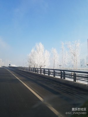 霧松