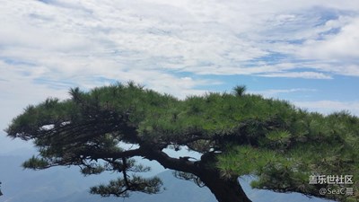 NOTE4拍黃山(二)