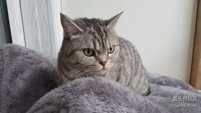 小丁滿