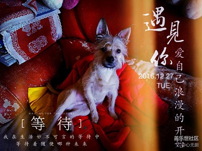 可愛(ài)的小帥逗