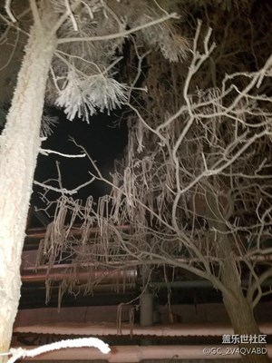 雪
