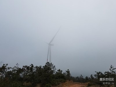 霧
