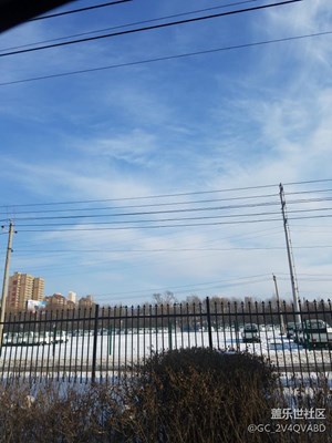 天情