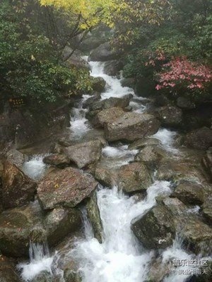中國美