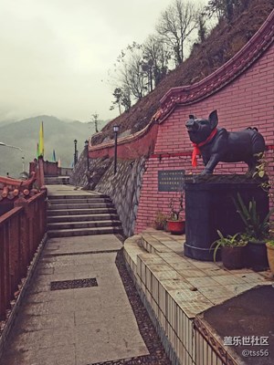 高處不甚寒