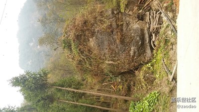 雅安石棉 草科 天然溫泉