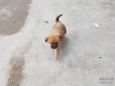 可愛*^o^*