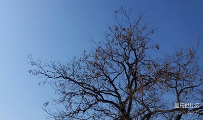 霾終于散了