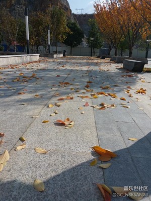 貴工秋景    C5實(shí)拍
