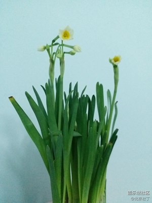 新春快樂(lè)