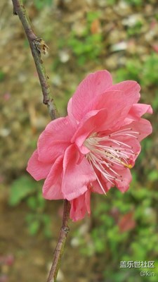 山水