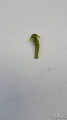 隨拍