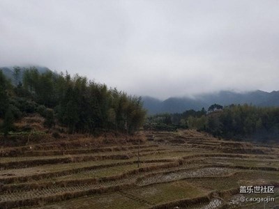 每日一圖，
