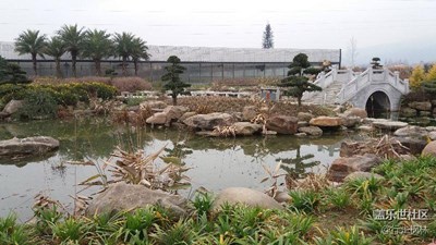 邊走邊拍