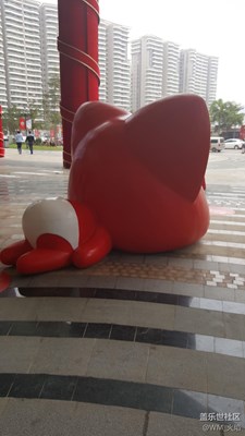 好多阿貍啊