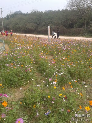 初六公園隨拍