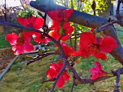 春暖花開