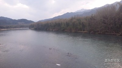 【家就在心中】過年花海世界郊游