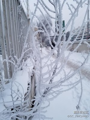 霧松