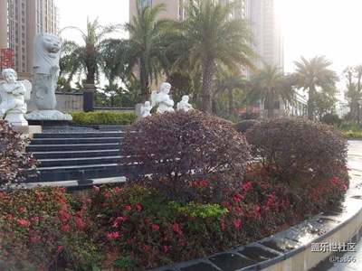 隨拍