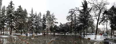 春雪