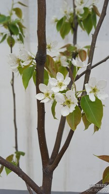 隨便拍的