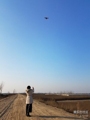 放風(fēng)箏