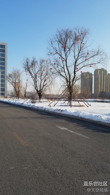 晚冬的早晨，你好~~