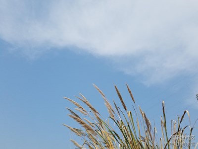 藍(lán)天白云