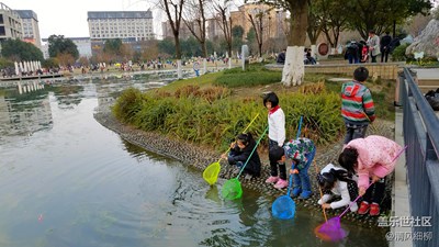 春來(lái)了+成都市+游春圖