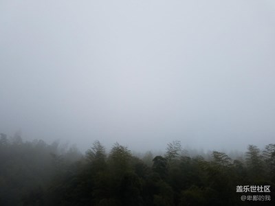 老家風(fēng)景