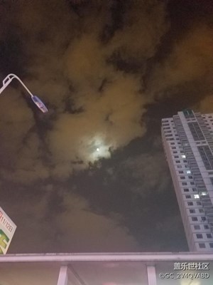 夜