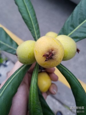 有點(diǎn)酸 自動模式拍攝