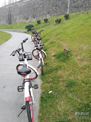 共享單車